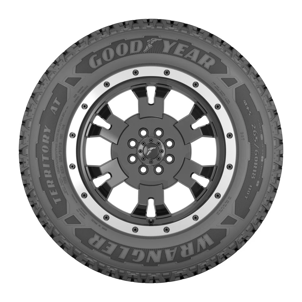 Pneu 205/55R16 Goodyear Wrangler Territory AT